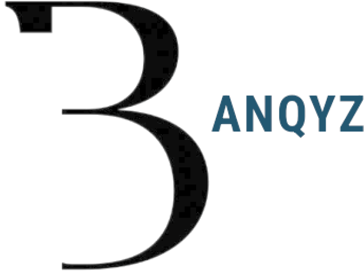 Banqyz Ltd Logo